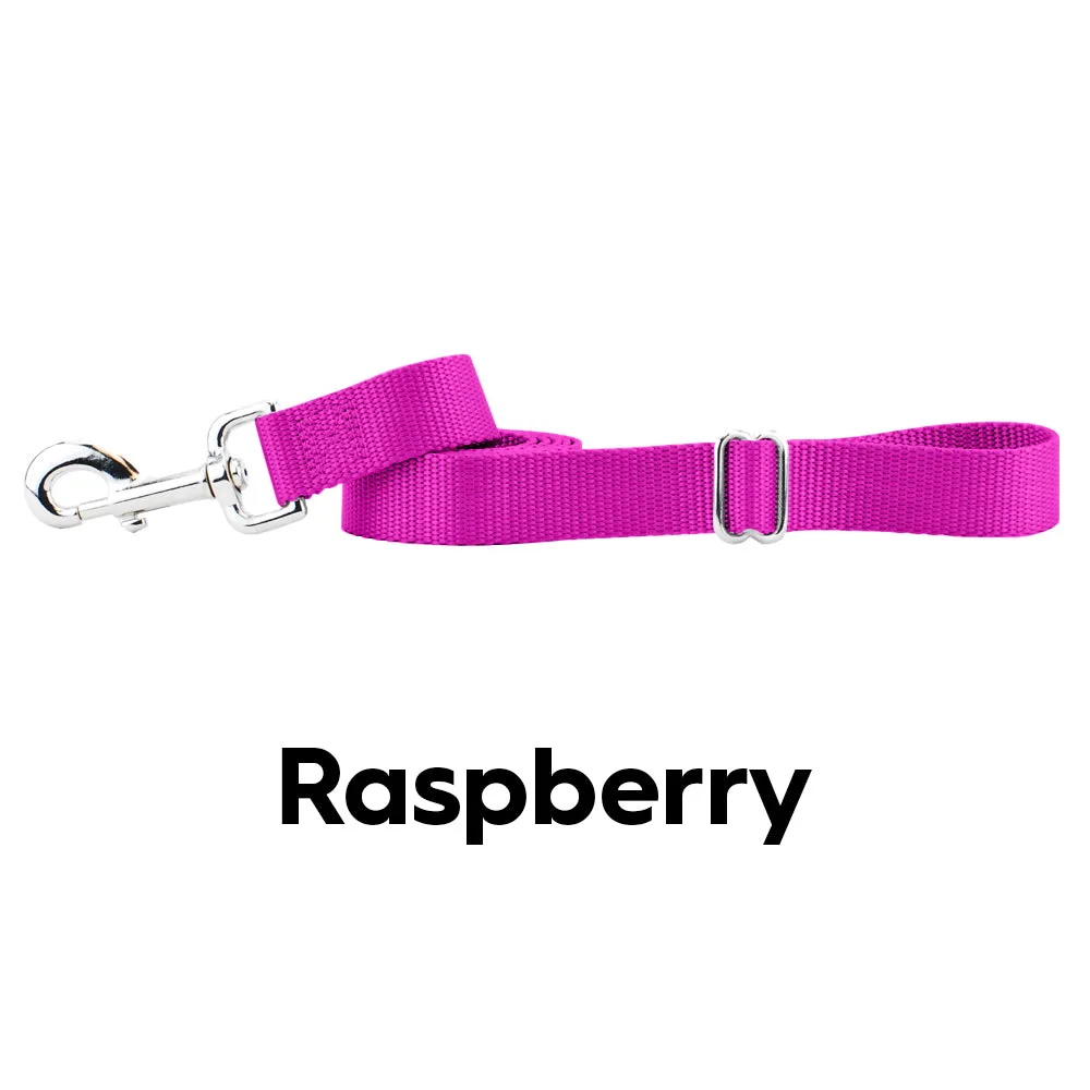 2 Hounds  Nylon Leash with Adjustable Handle
