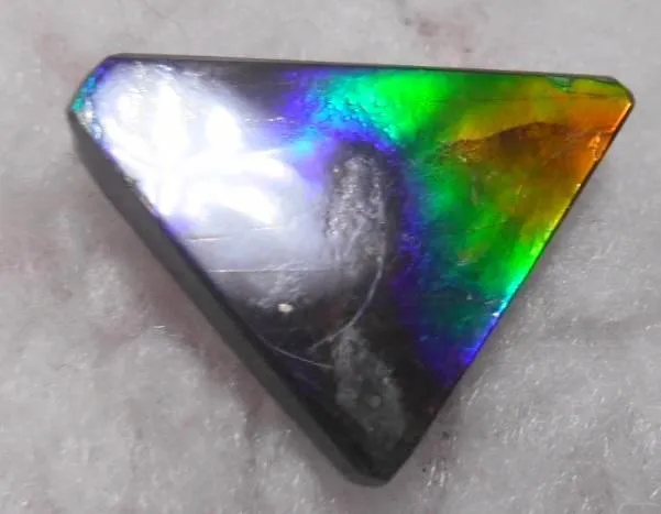 24 x 17 mm  Natural  Free Form . FFN 323 Ammolite  ナチュラル　ルース　アンモライト フリーフォーム