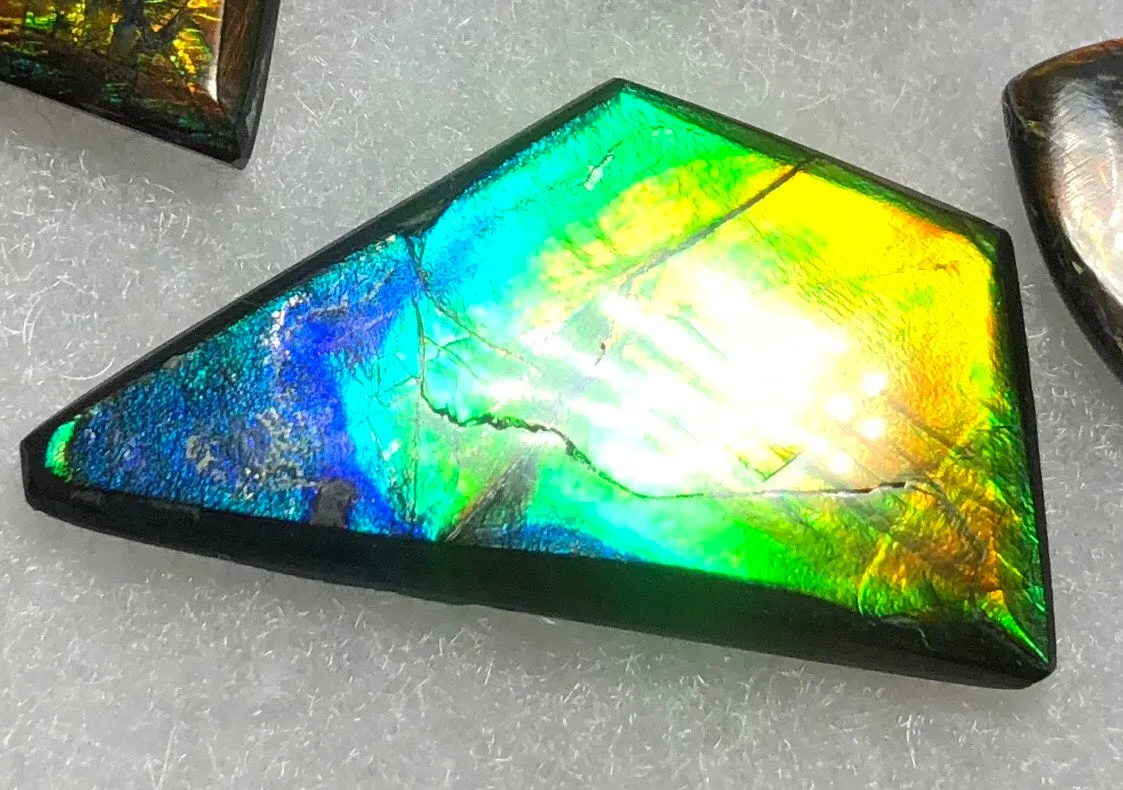 41 x 23 mm  Natural  Free Form . FFN 337 Ammolite  ナチュラル　ルース　アンモライト フリーフォーム