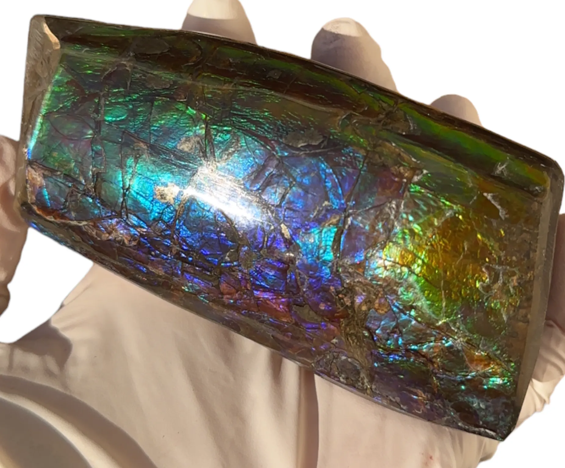 4.17" HIGH Grade Double-Sided Handheld Gem Specimen, Natural Hand Polished CS-233* Ammolite  Free Shipping! ナチュラルポーリッシュ　アンモライトFREE SHIPPING!