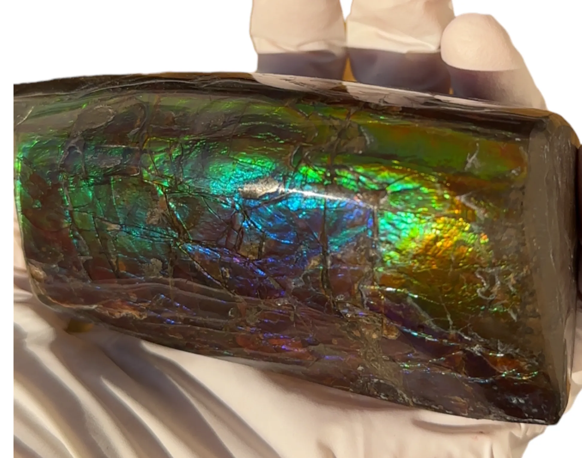 4.17" HIGH Grade Double-Sided Handheld Gem Specimen, Natural Hand Polished CS-233* Ammolite  Free Shipping! ナチュラルポーリッシュ　アンモライトFREE SHIPPING!