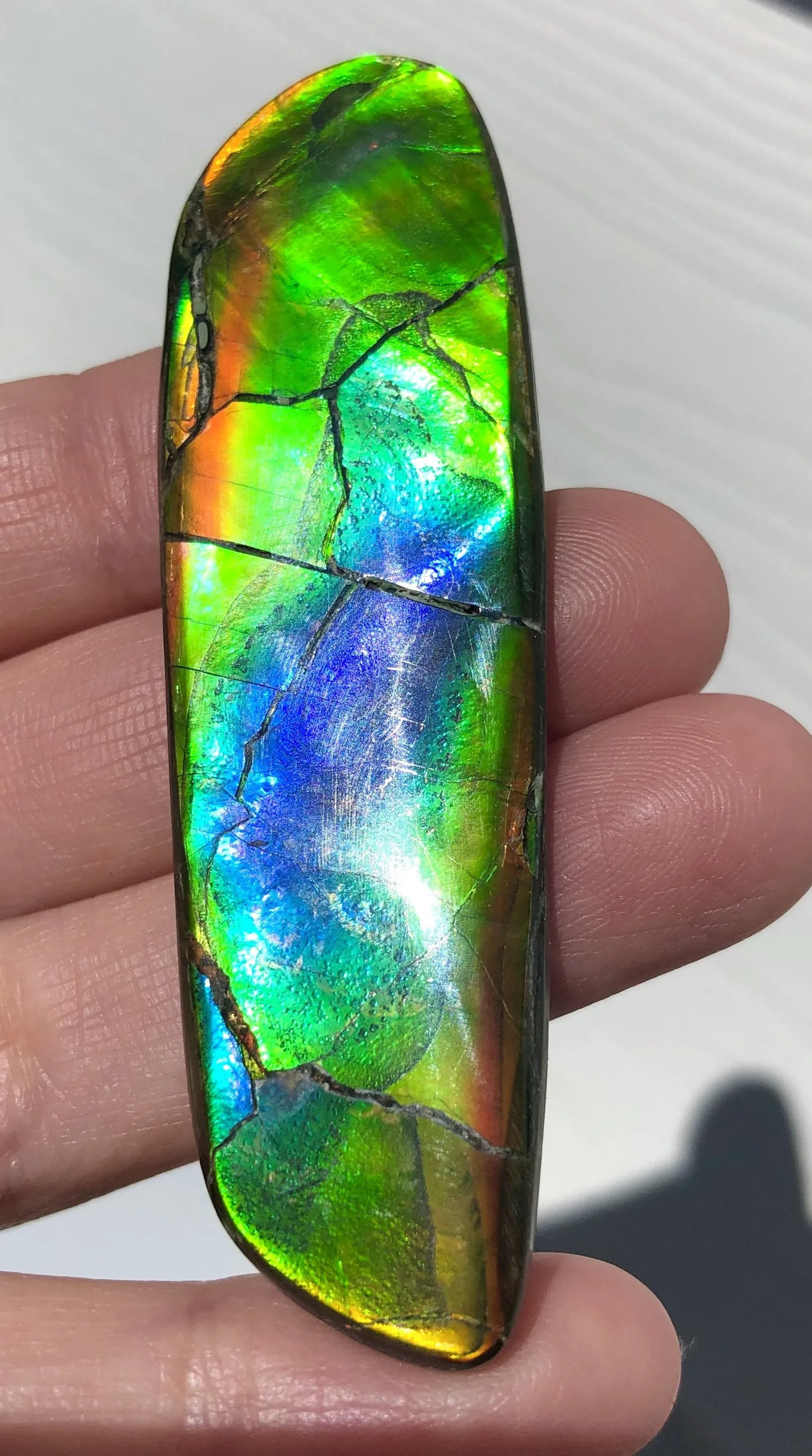 67x20 mm  High Grade Natural  Free Form . FFNT 145 Ammolite  ナチュラル　ルース　アンモライト