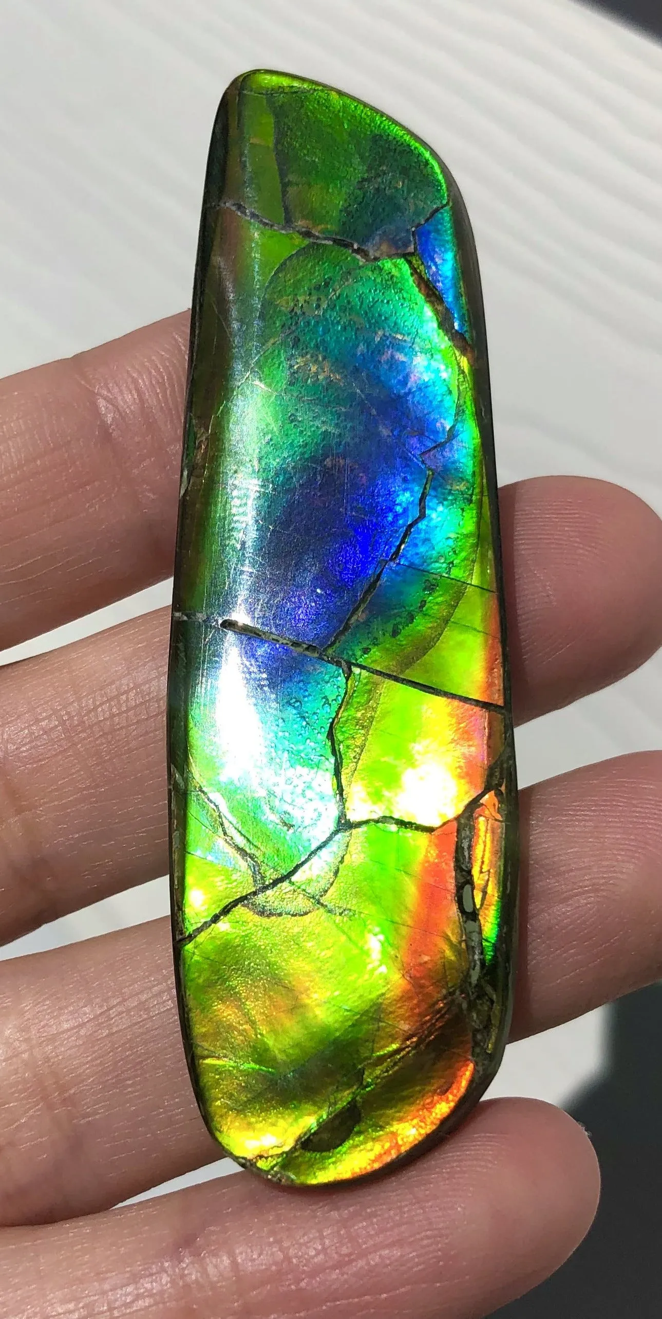 67x20 mm  High Grade Natural  Free Form . FFNT 145 Ammolite  ナチュラル　ルース　アンモライト