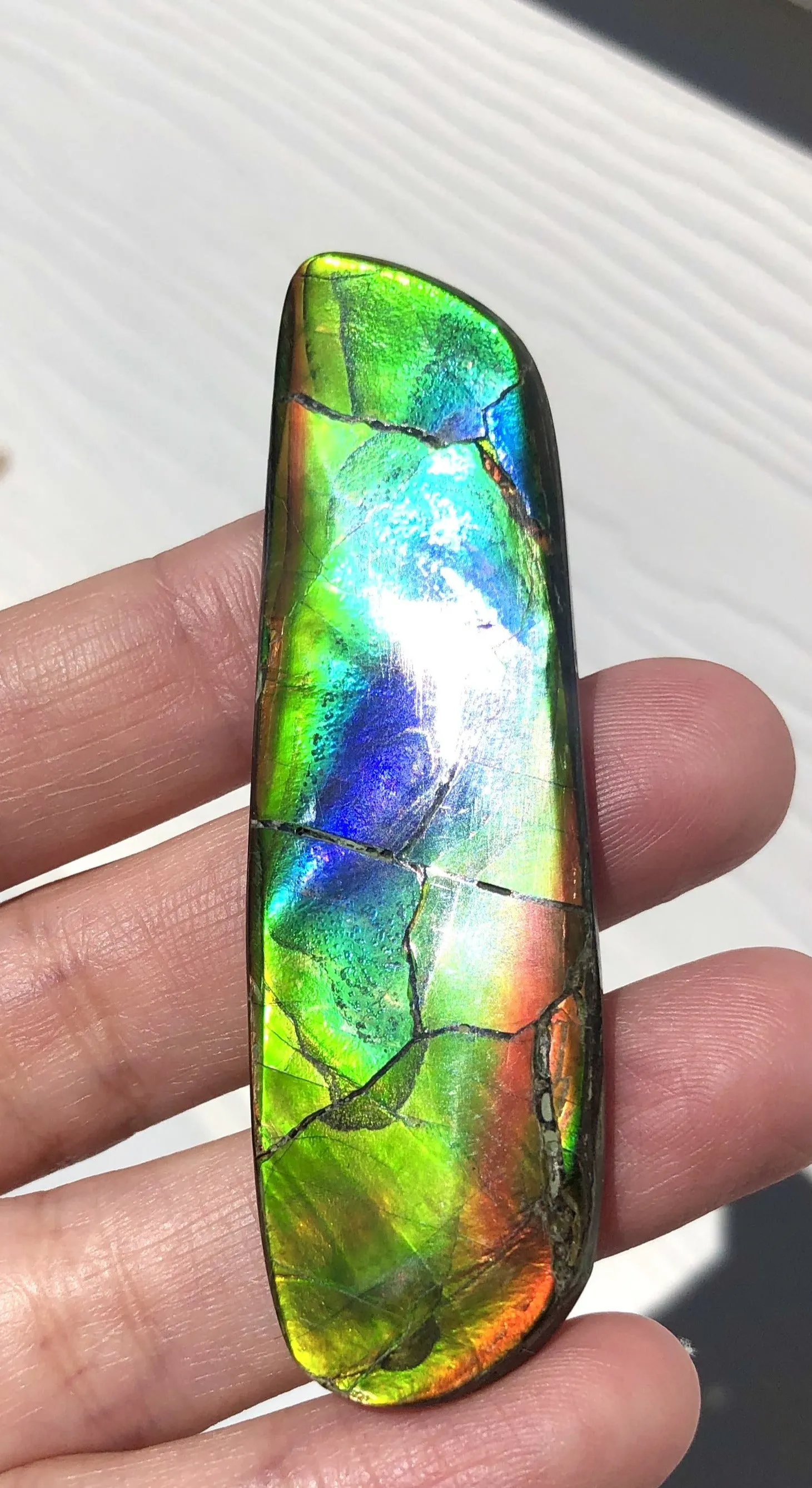 67x20 mm  High Grade Natural  Free Form . FFNT 145 Ammolite  ナチュラル　ルース　アンモライト