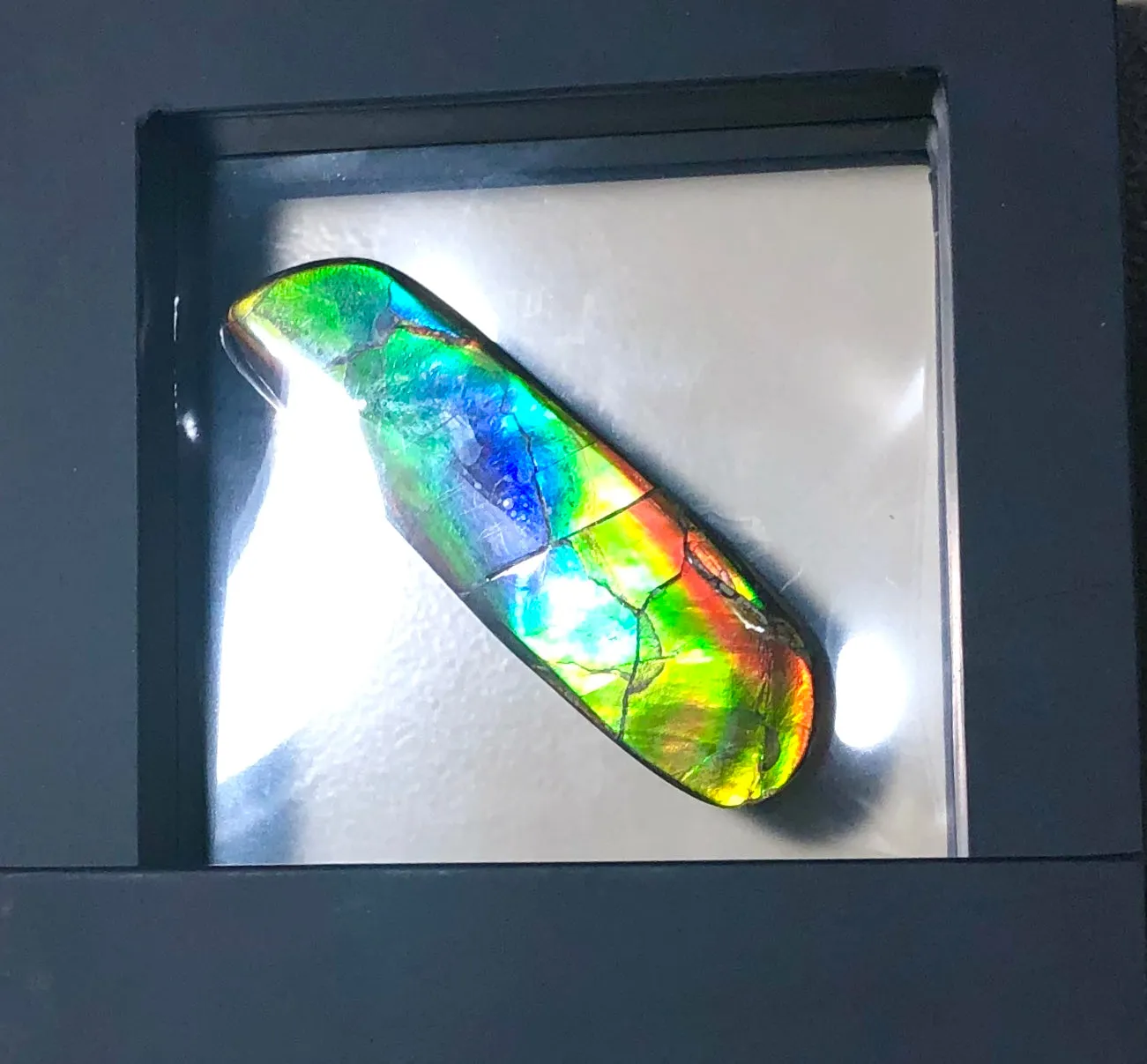 67x20 mm  High Grade Natural  Free Form . FFNT 145 Ammolite  ナチュラル　ルース　アンモライト