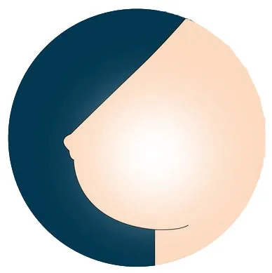 AF  Breast Option - Hollow Breasts