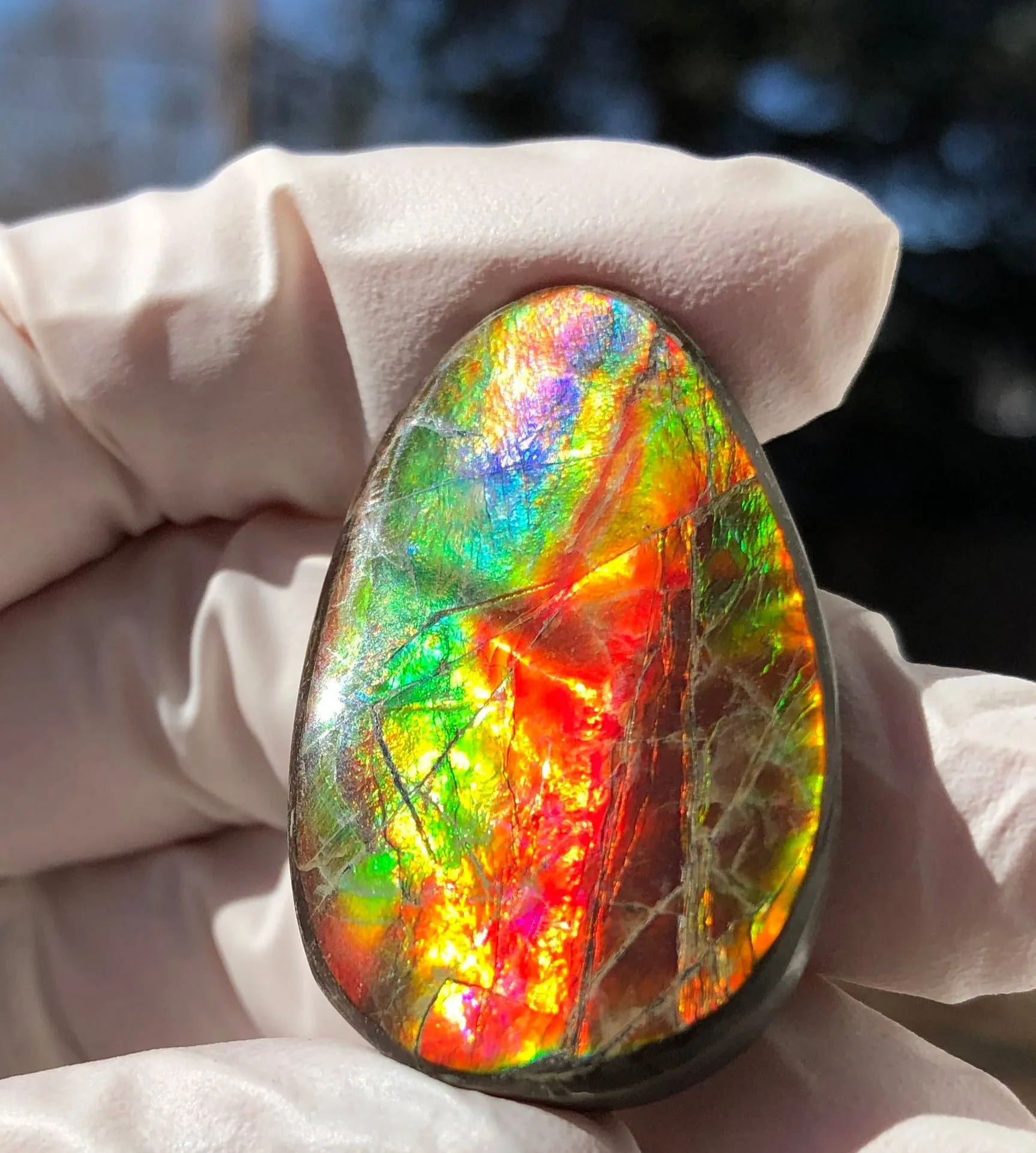 Auction CLOSED!Free shiping🌈Auction!! **Please read the description** Natural hand polished, Free Form . FFNT168 Ammolite High Grade.