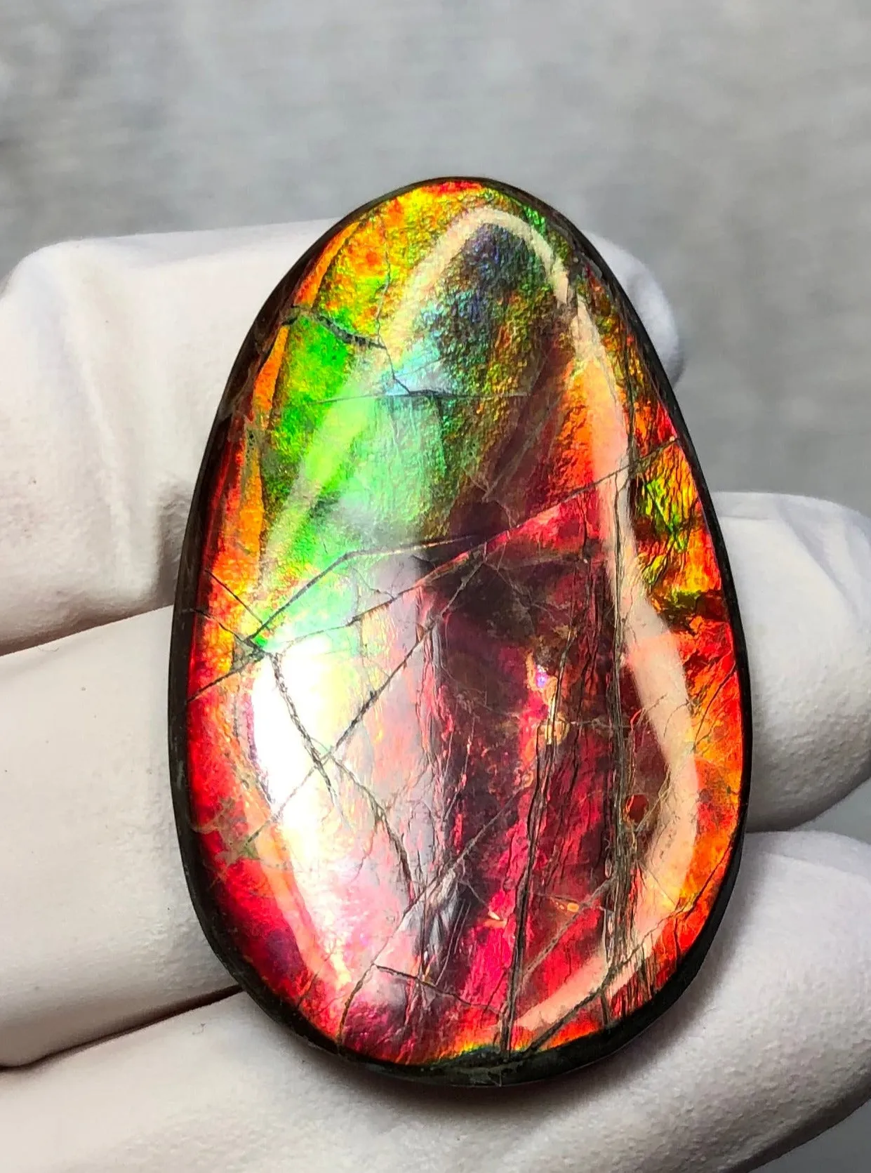Auction CLOSED!Free shiping🌈Auction!! **Please read the description** Natural hand polished, Free Form . FFNT168 Ammolite High Grade.