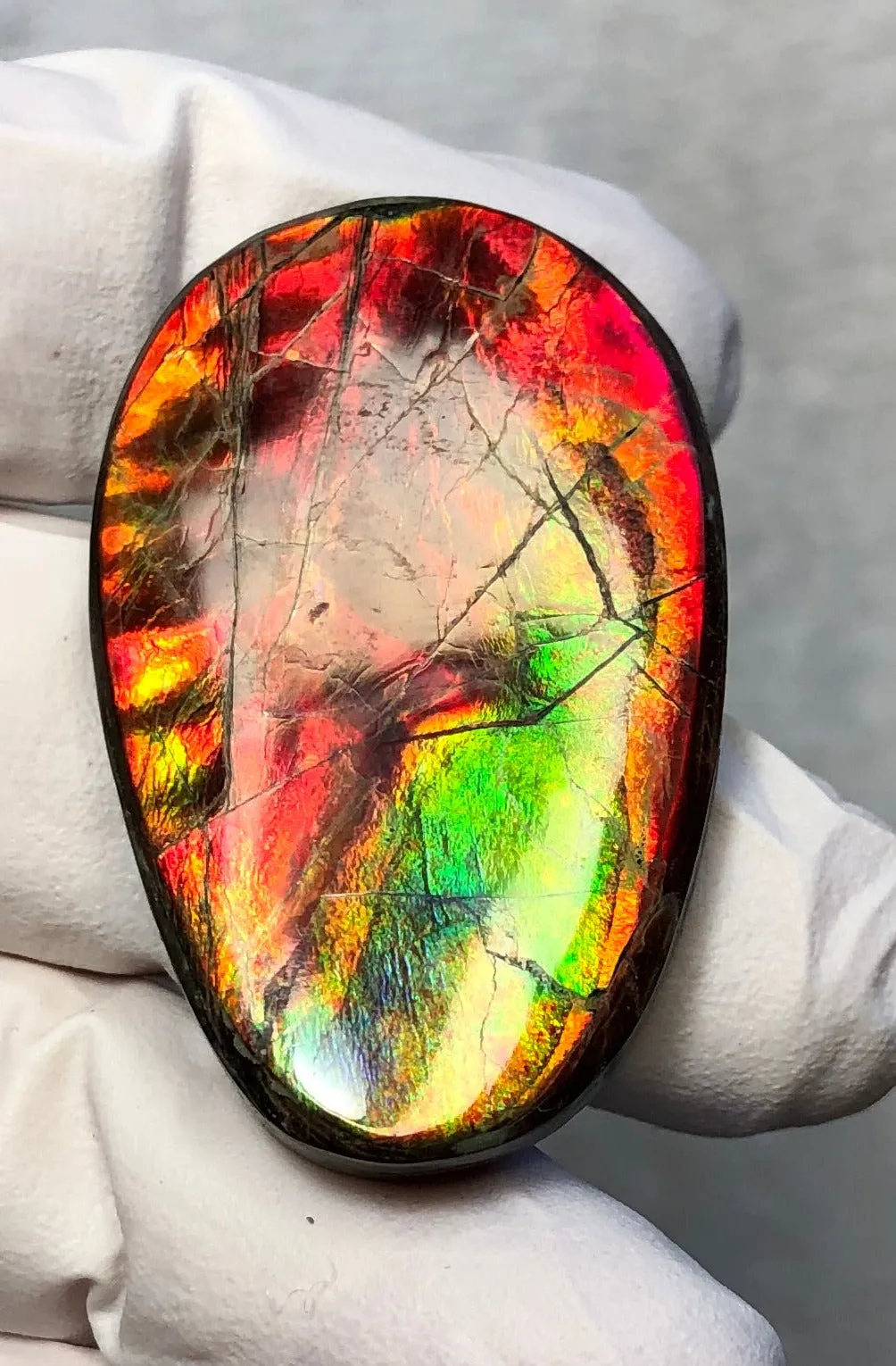 Auction CLOSED!Free shiping🌈Auction!! **Please read the description** Natural hand polished, Free Form . FFNT168 Ammolite High Grade.