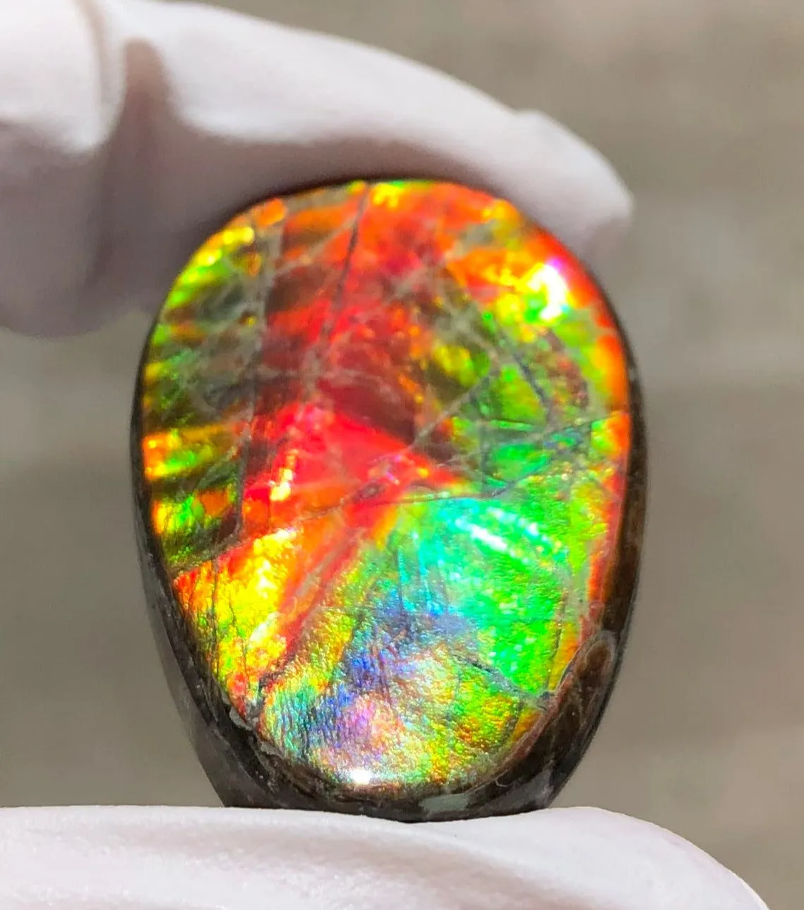 Auction CLOSED!Free shiping🌈Auction!! **Please read the description** Natural hand polished, Free Form . FFNT168 Ammolite High Grade.