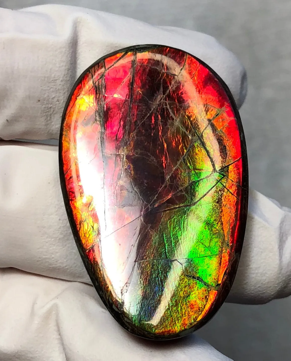 Auction CLOSED!Free shiping🌈Auction!! **Please read the description** Natural hand polished, Free Form . FFNT168 Ammolite High Grade.