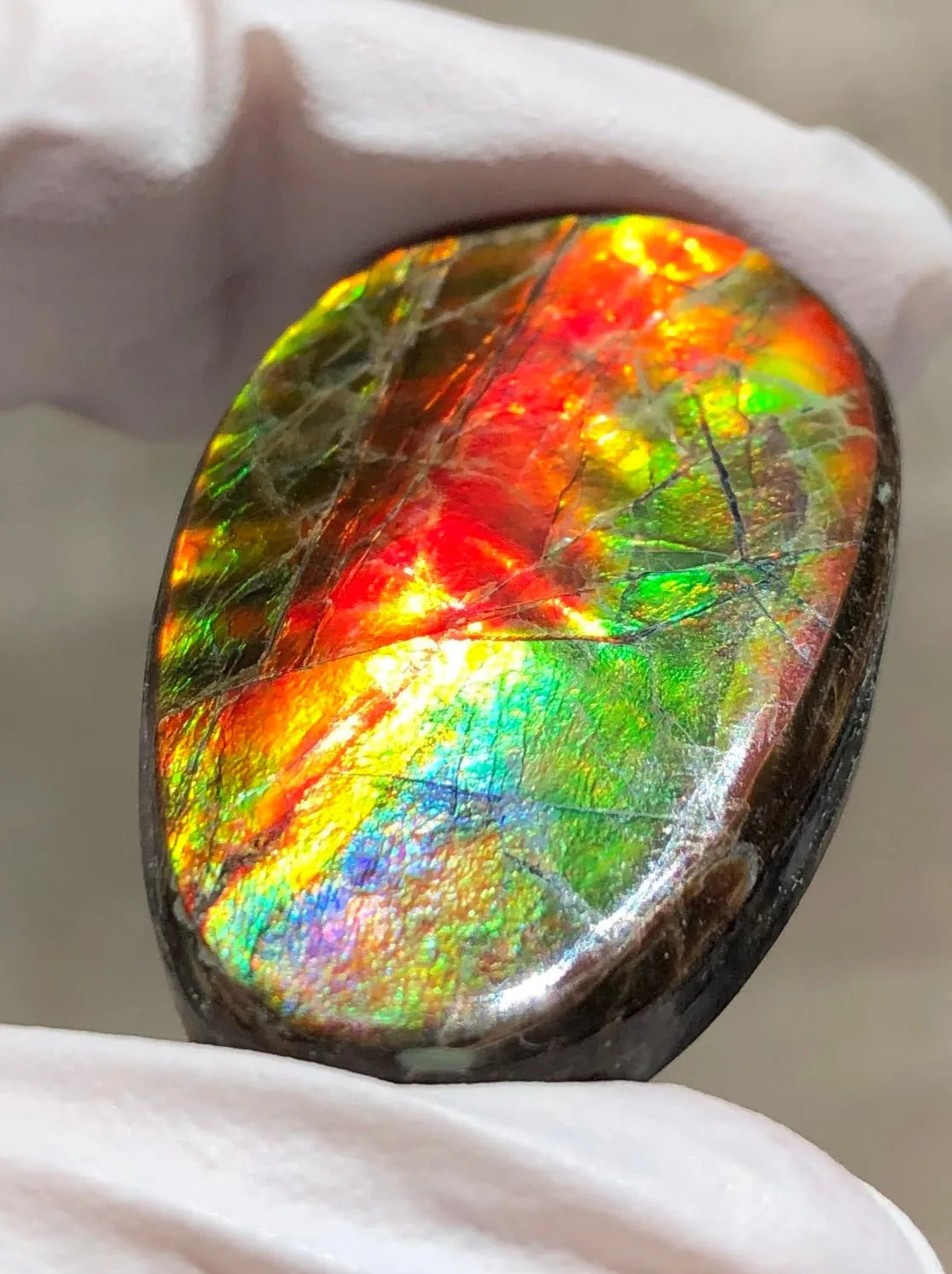 Auction CLOSED!Free shiping🌈Auction!! **Please read the description** Natural hand polished, Free Form . FFNT168 Ammolite High Grade.
