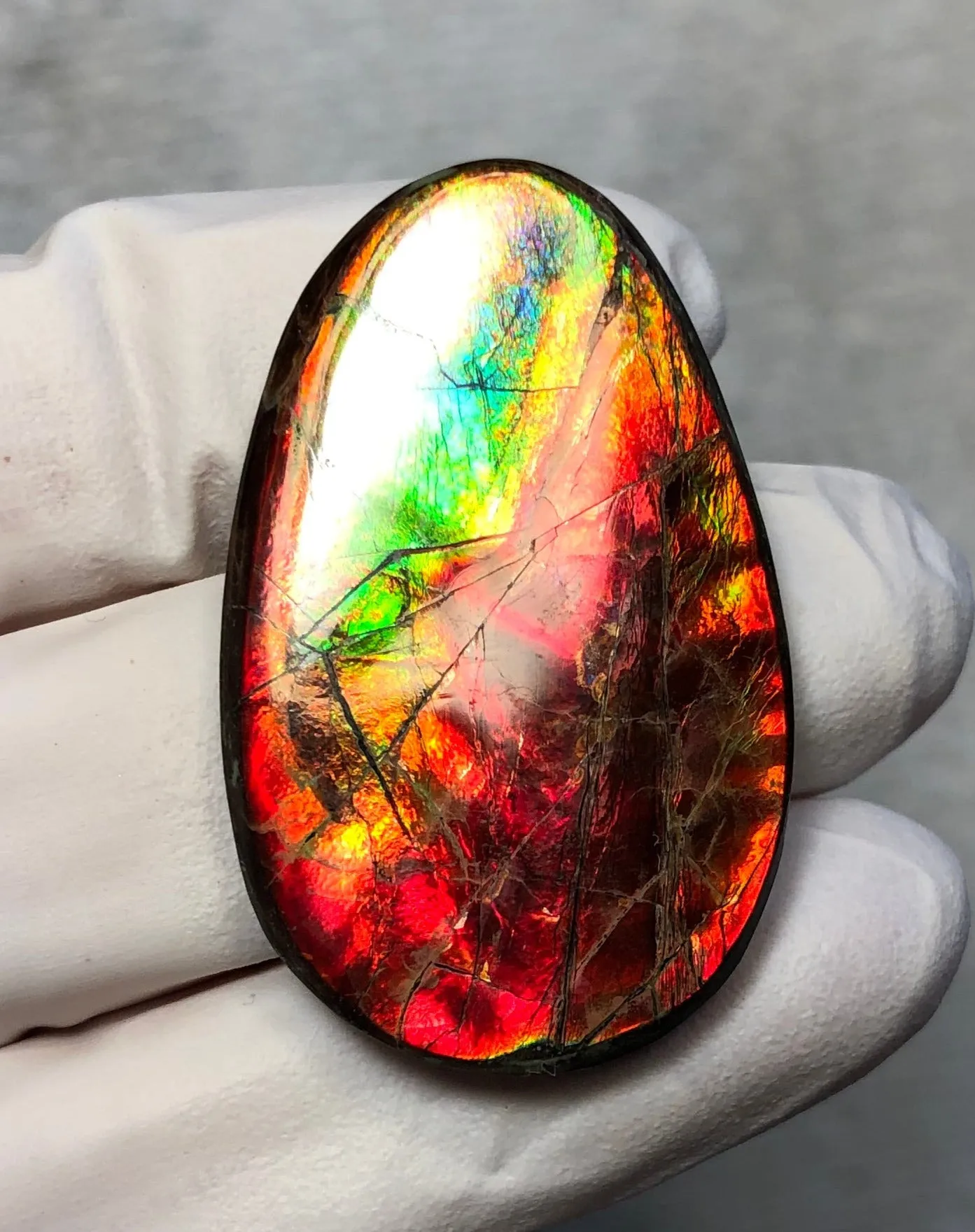 Auction CLOSED!Free shiping🌈Auction!! **Please read the description** Natural hand polished, Free Form . FFNT168 Ammolite High Grade.