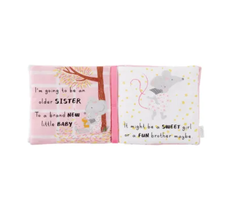 Big Sister Book & Pin