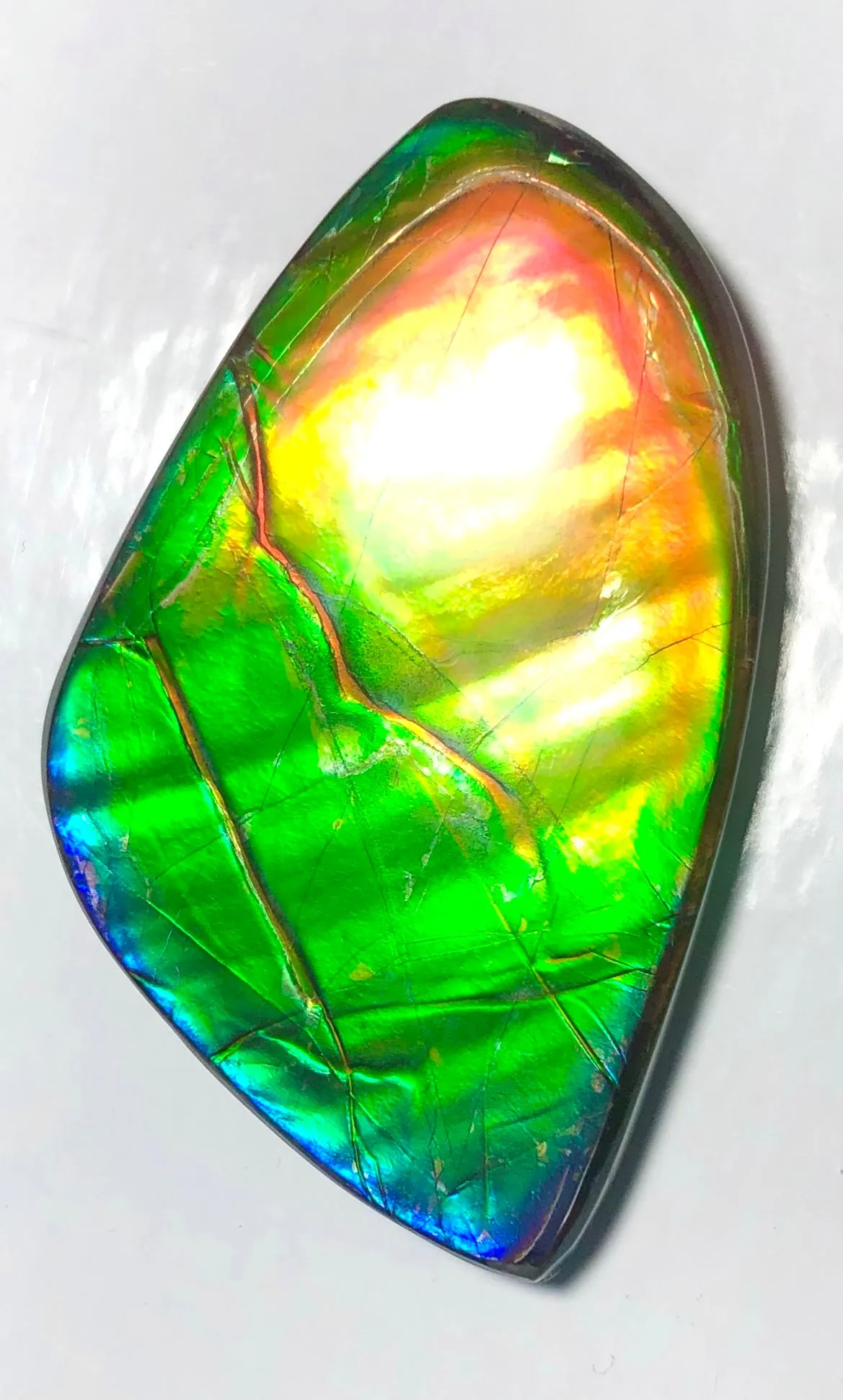 Copy of LARGE Rainbow colors  60x25 mm  Top Grade Natural  Free Form . FFNT 141 Ammolite  レインボーカラー！ナチュラル　ルース　アンモライト ケース付！