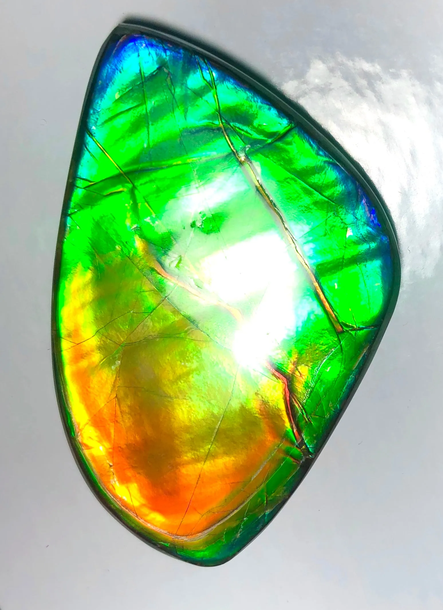 Copy of LARGE Rainbow colors  60x25 mm  Top Grade Natural  Free Form . FFNT 141 Ammolite  レインボーカラー！ナチュラル　ルース　アンモライト ケース付！