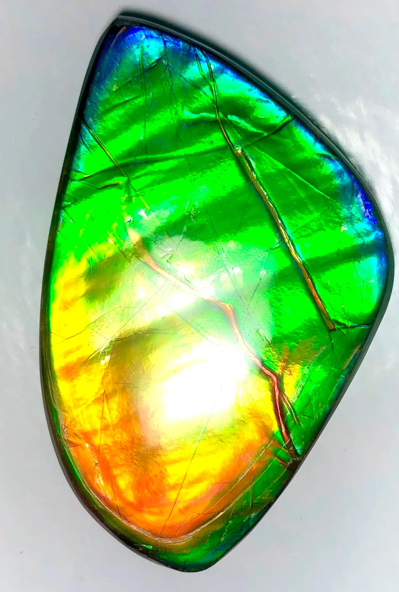 Copy of LARGE Rainbow colors  60x25 mm  Top Grade Natural  Free Form . FFNT 141 Ammolite  レインボーカラー！ナチュラル　ルース　アンモライト ケース付！