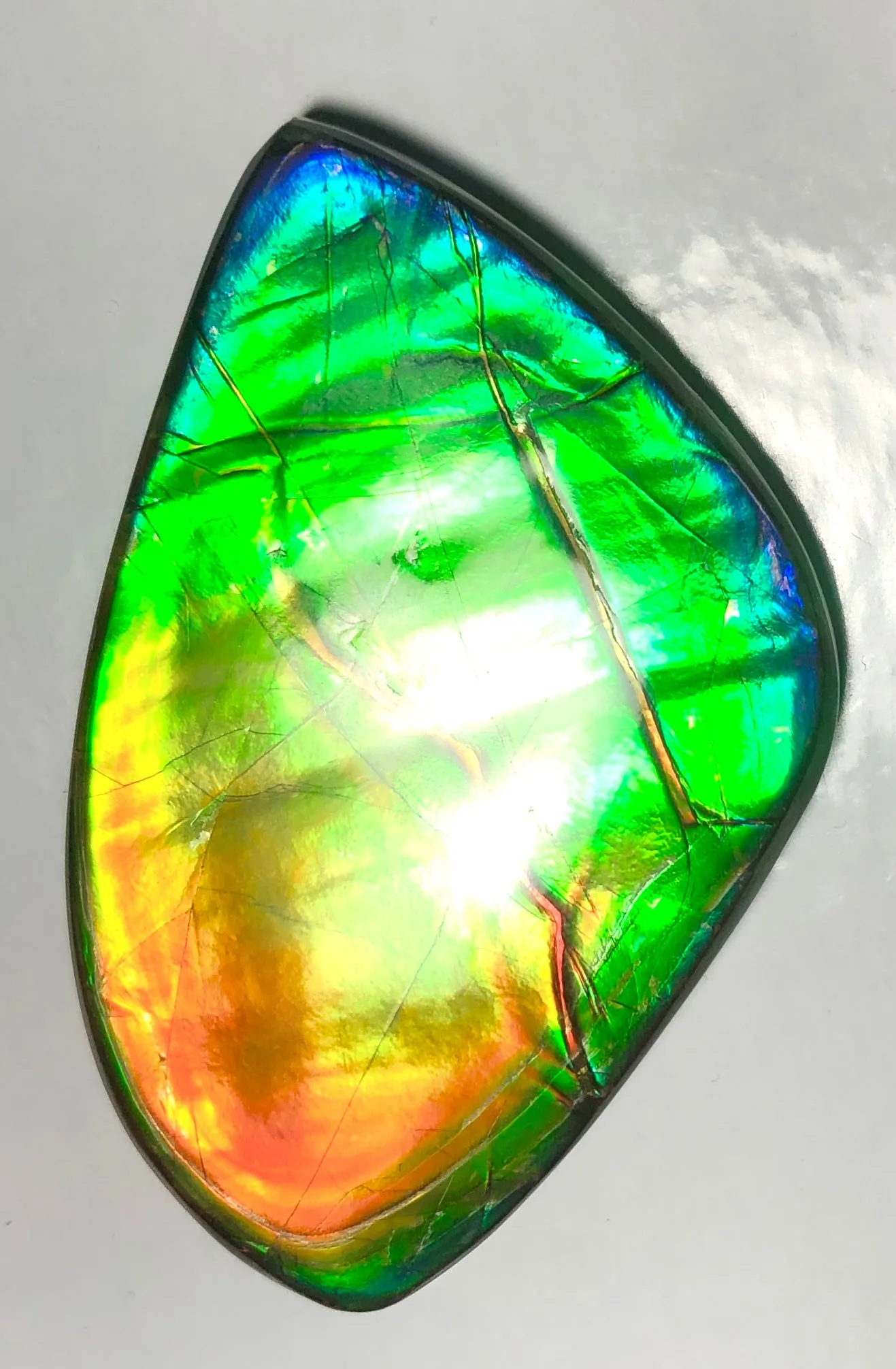 Copy of LARGE Rainbow colors  60x25 mm  Top Grade Natural  Free Form . FFNT 141 Ammolite  レインボーカラー！ナチュラル　ルース　アンモライト ケース付！