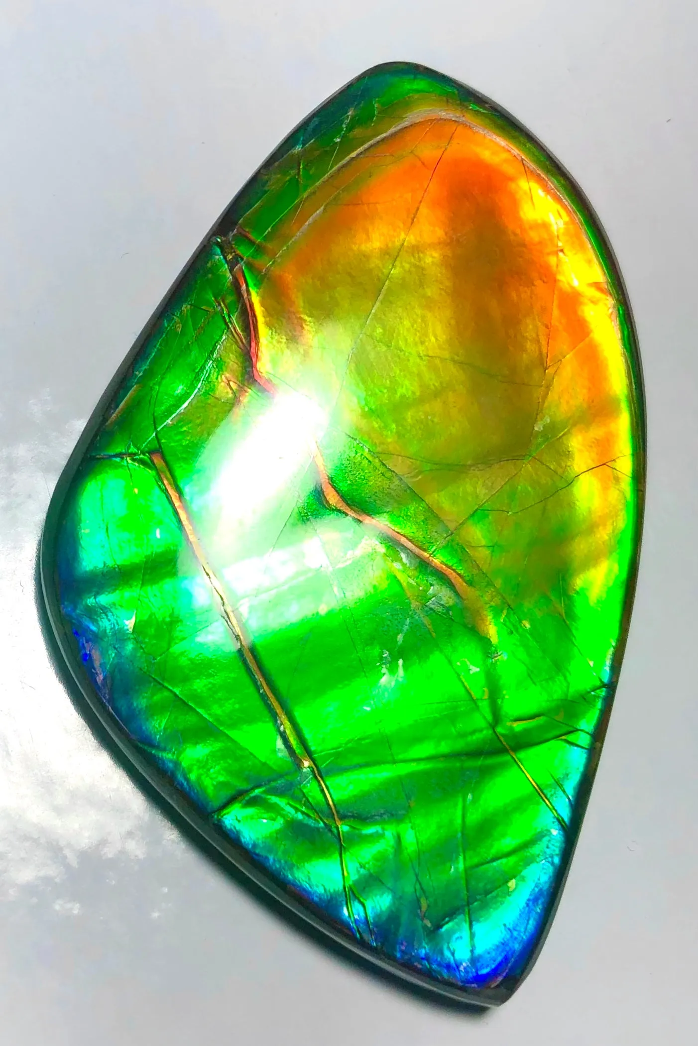 Copy of LARGE Rainbow colors  60x25 mm  Top Grade Natural  Free Form . FFNT 141 Ammolite  レインボーカラー！ナチュラル　ルース　アンモライト ケース付！
