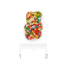 Crispy Crunchy Gummy Fun Bears