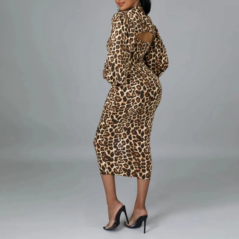 Leopard Print Long Sleeve 2PCS Dress Set