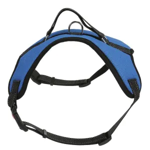 Lucy Belle Pets Blue Heavy-Duty Pet Harness