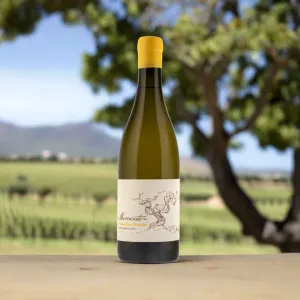 Momento, Chenin Blanc/Verdelho, Western Cape, South Africa