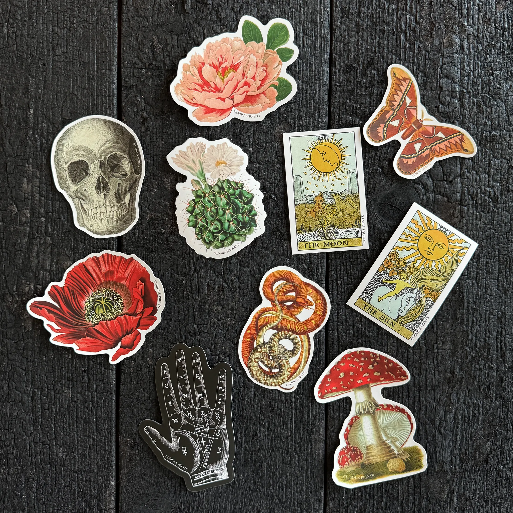 PALMISTRY MYSTICAL WATERPROOF STICKER