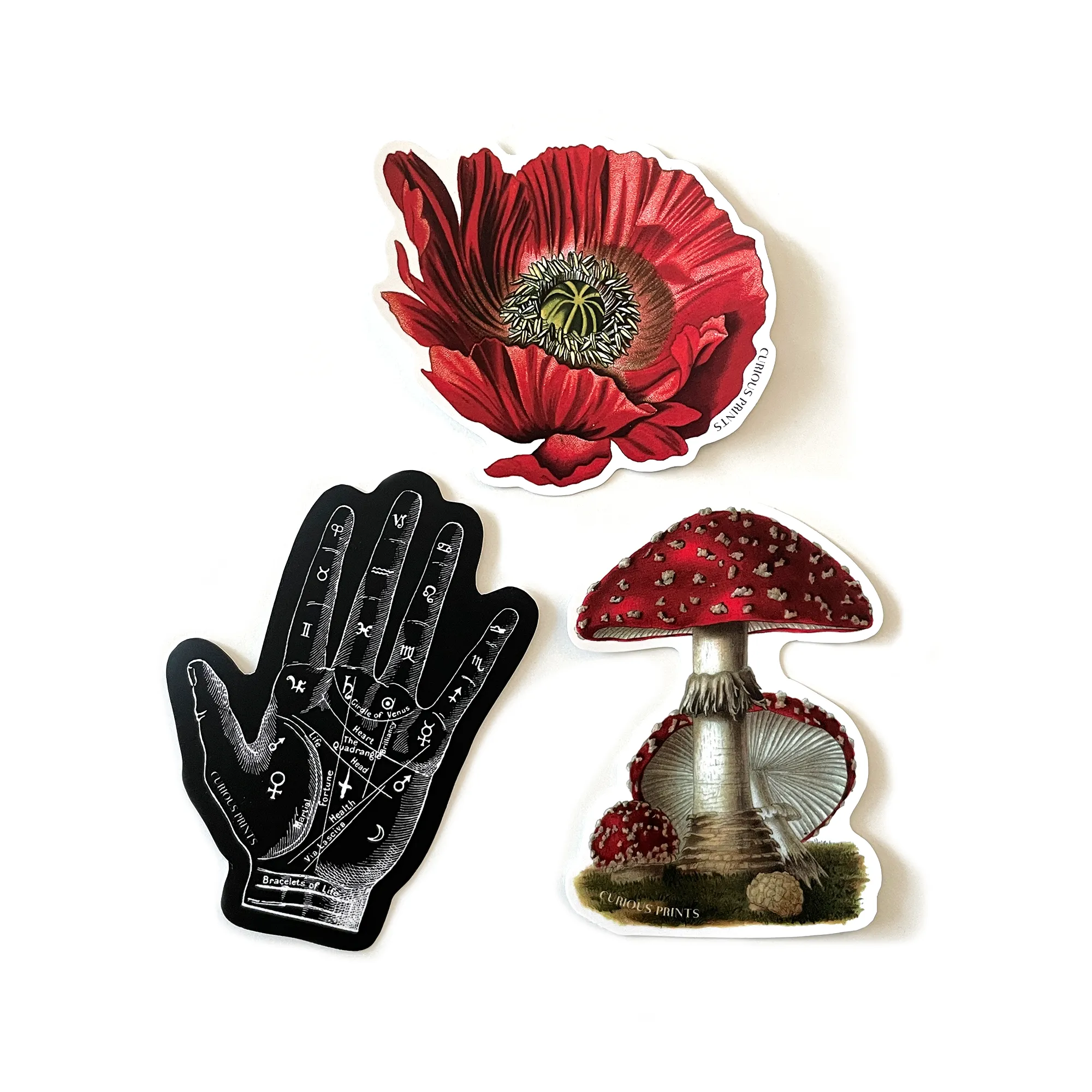 PALMISTRY MYSTICAL WATERPROOF STICKER