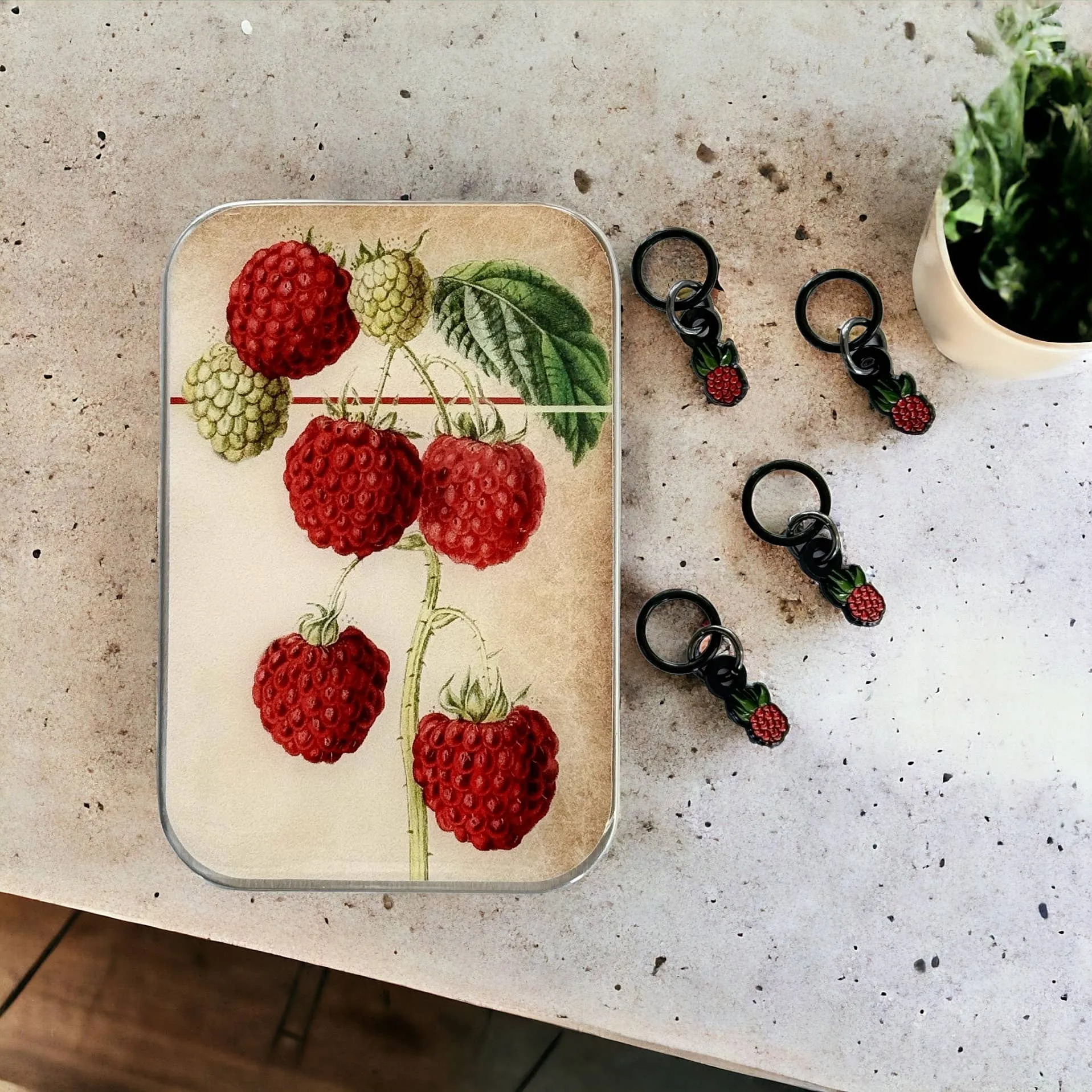 Raspberry Notions Tin