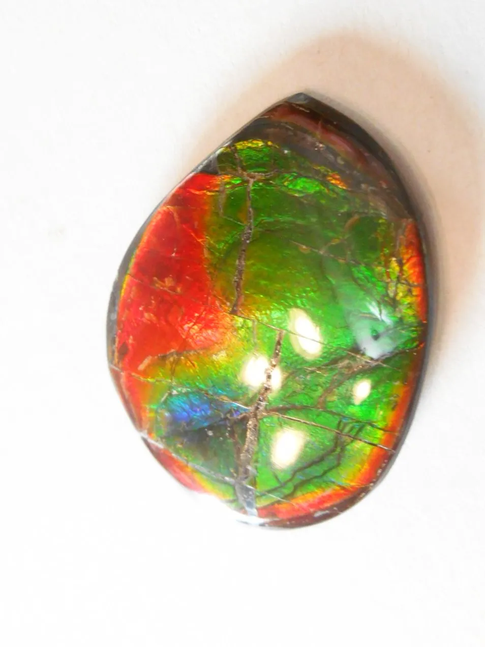 SALE 50% OFF 43 x 32 mm  Natural  Free Form . FFN 305 Ammolite  ナチュラル　ルース　アンモライト フリーフォーム