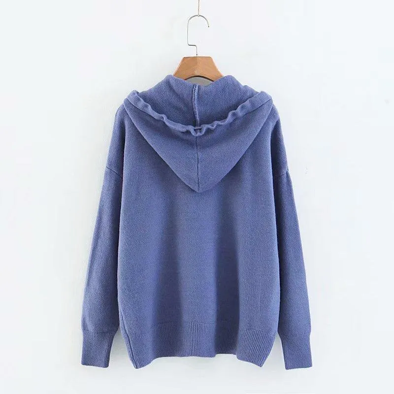 Solid Hooded Sweater