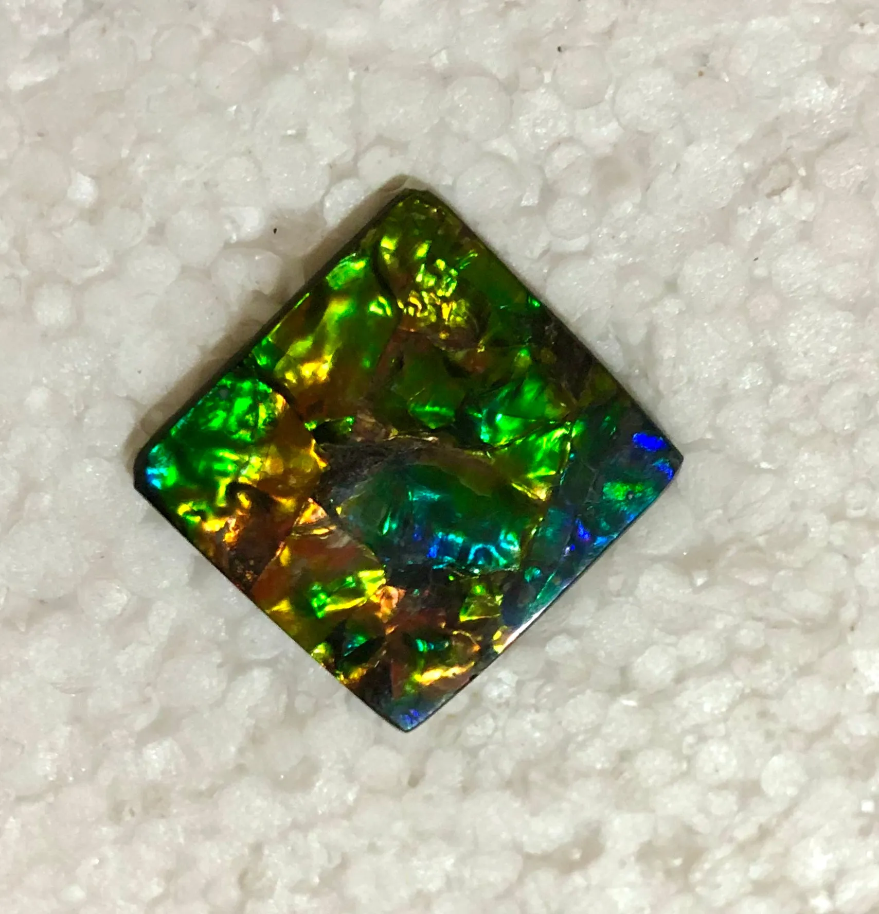 Suture Gem Beauty  35x35 mm  Natural  Free Form . FFNT 146 Ammolite  ナチュラル　ルース　アンモライト
