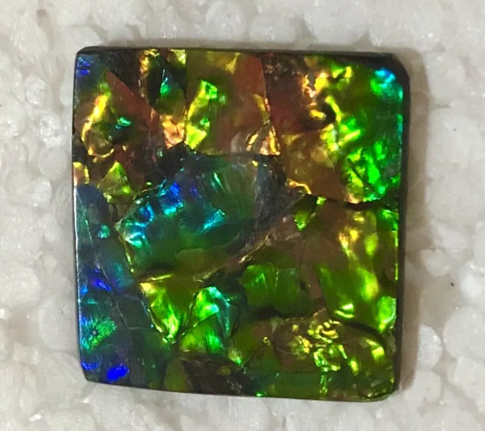 Suture Gem Beauty  35x35 mm  Natural  Free Form . FFNT 146 Ammolite  ナチュラル　ルース　アンモライト