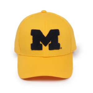 University of Michigan x Ponyflo®