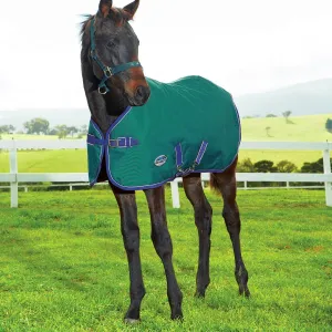 Weatherbeeta 1200D Foal Standard Neck Medium II
