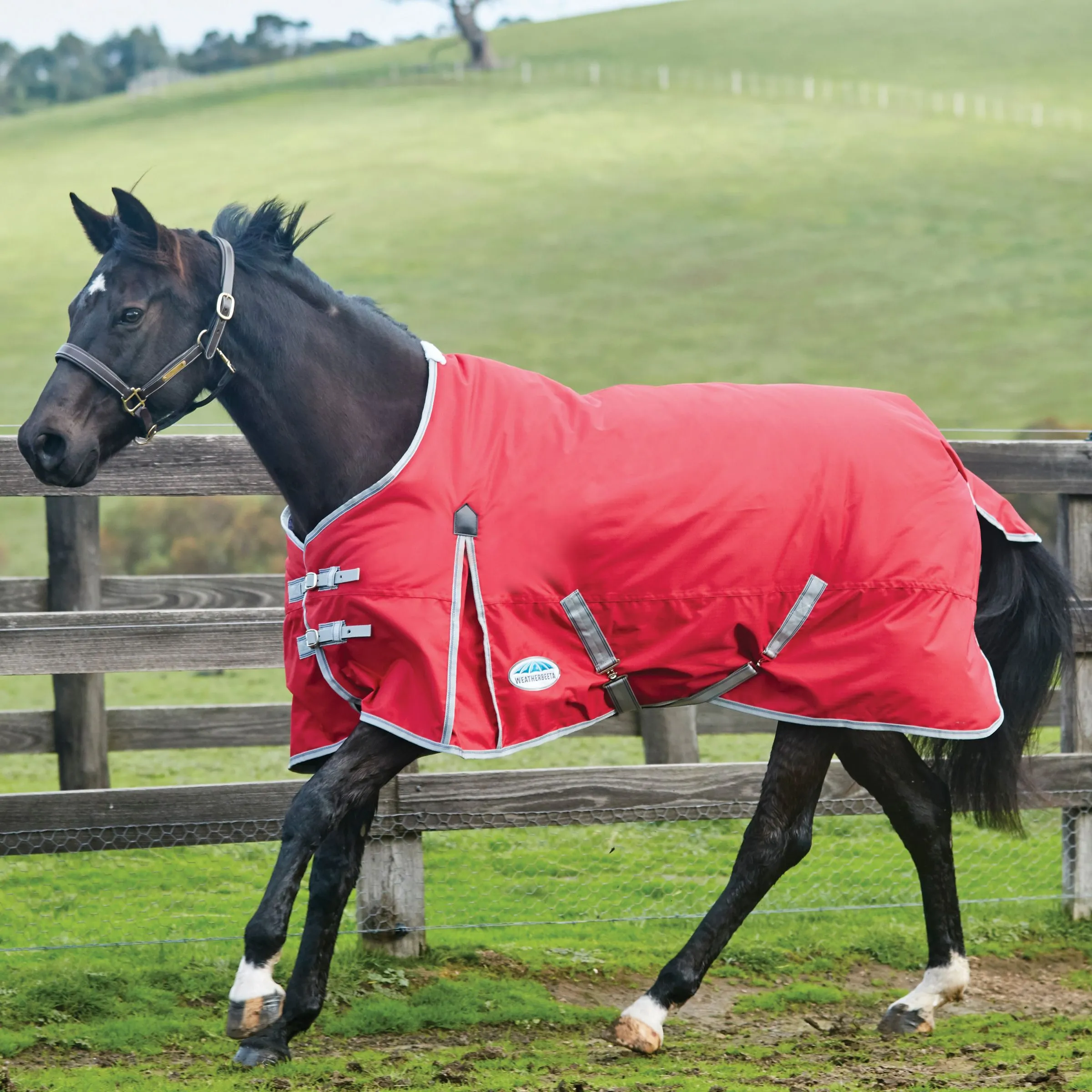 Weatherbeeta Comfitec Classic Standard Neck - Lite 0g