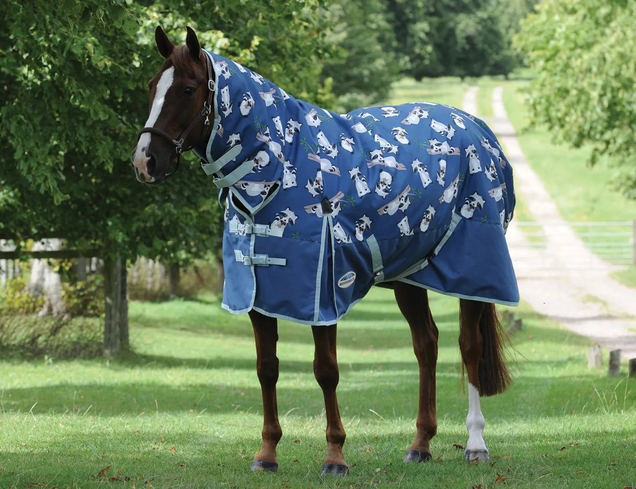 Weatherbeeta ComfiTec Essential Medium Combo Racoon Print
