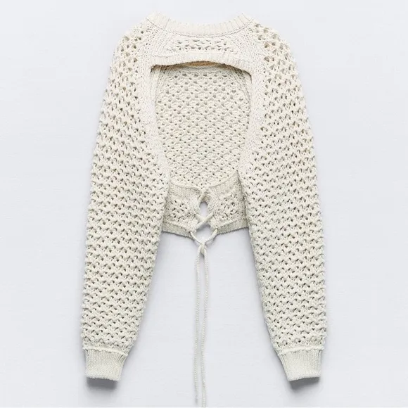 Zara Cut-Out Cropped Crochet Knit Top