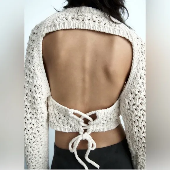 Zara Cut-Out Cropped Crochet Knit Top